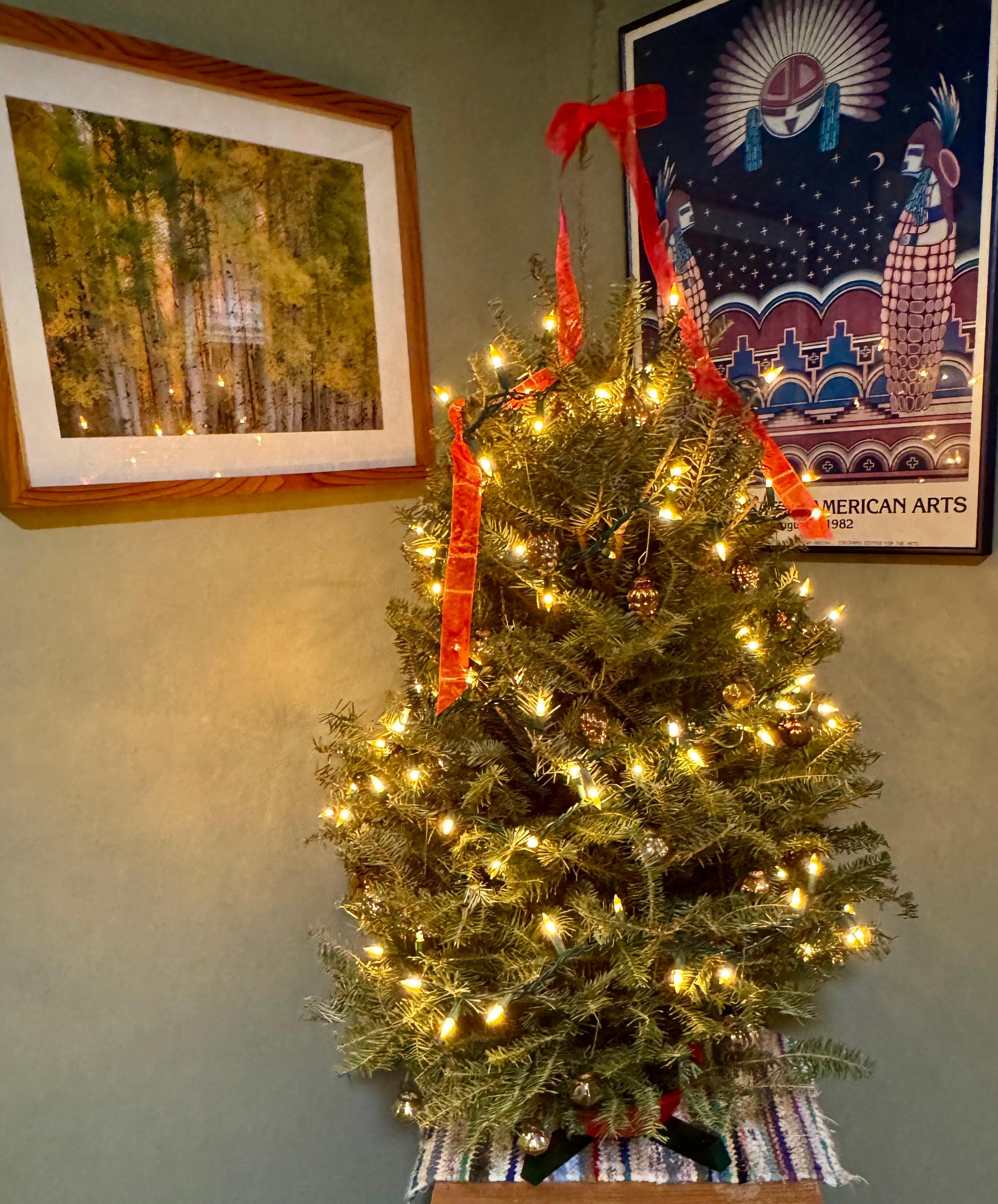 We brought a little tree with us! 🌲