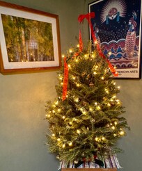 We brought a little tree with us! đČ