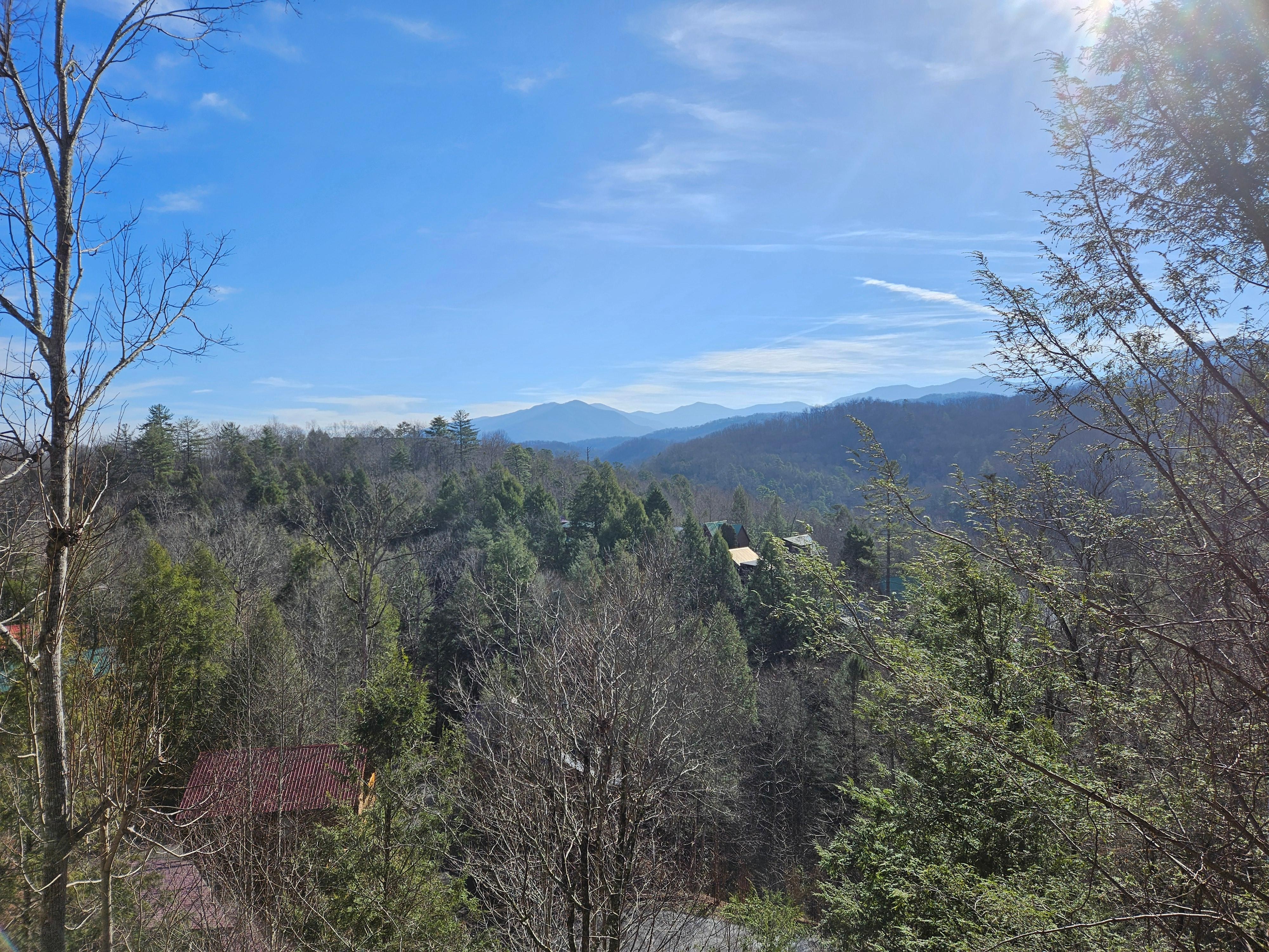 View from the back porch