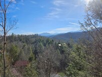 View from the back porch