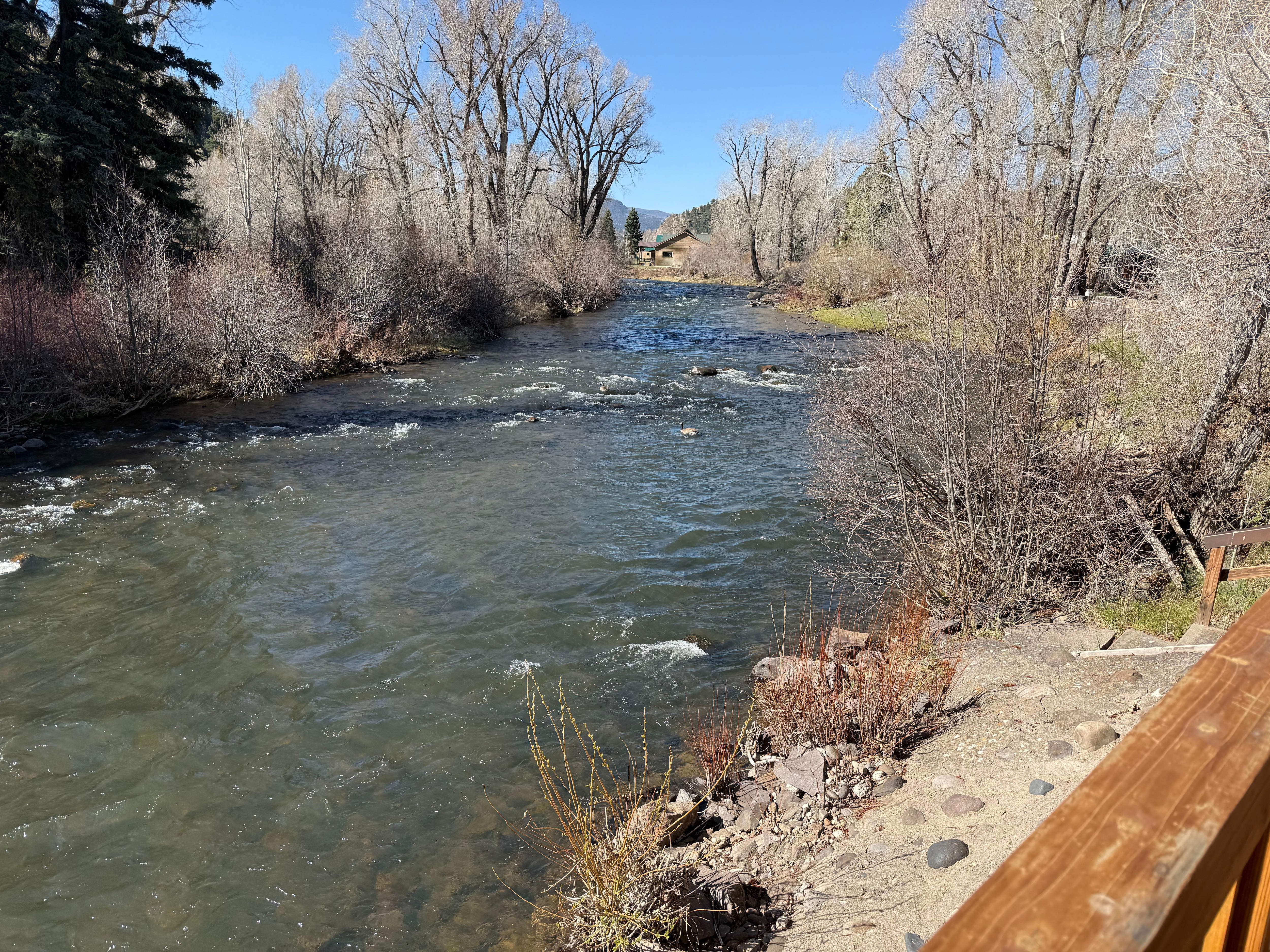 River out back off spacious deck. April 2026