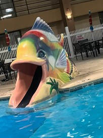 Fun slides