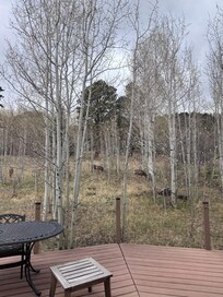 Looking out of living room window.
