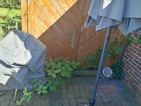 Ungepflegter Garten.