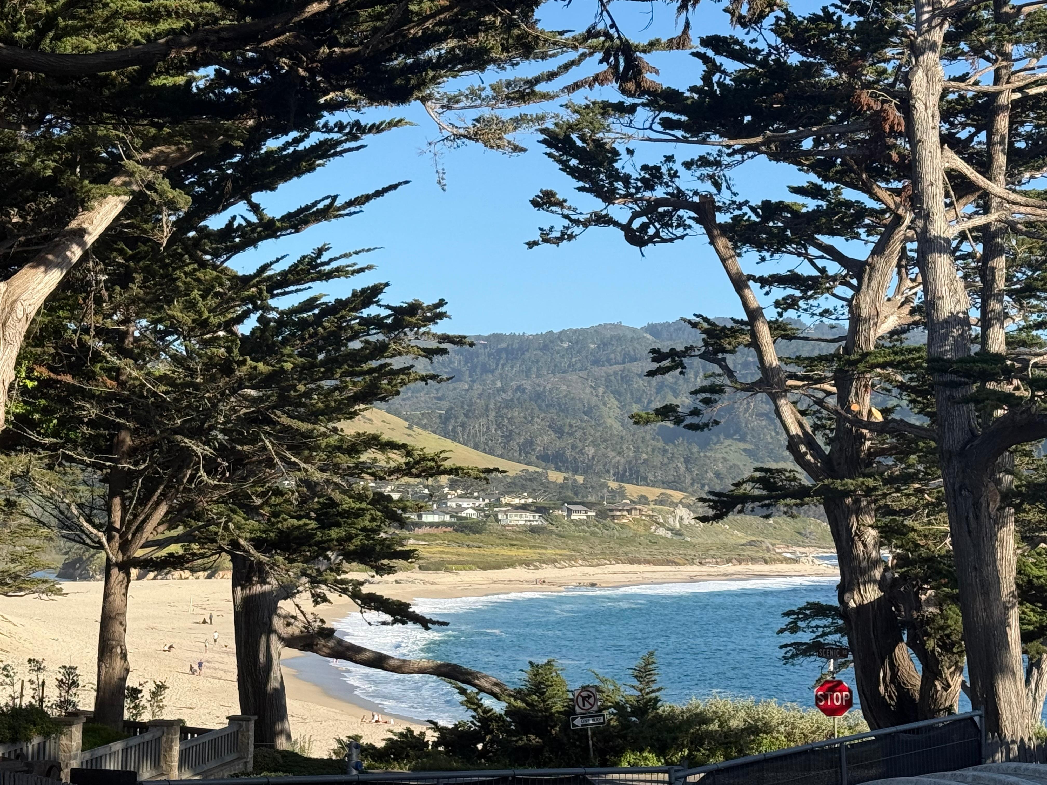 View from front patio