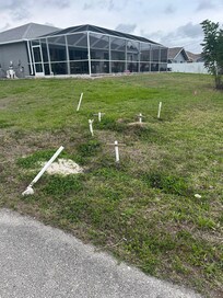 Little ground owls in the neighborhood