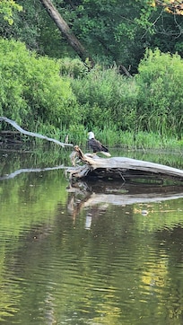 Right off the deck of the rental.