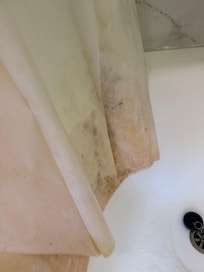 Moldy shower curtain