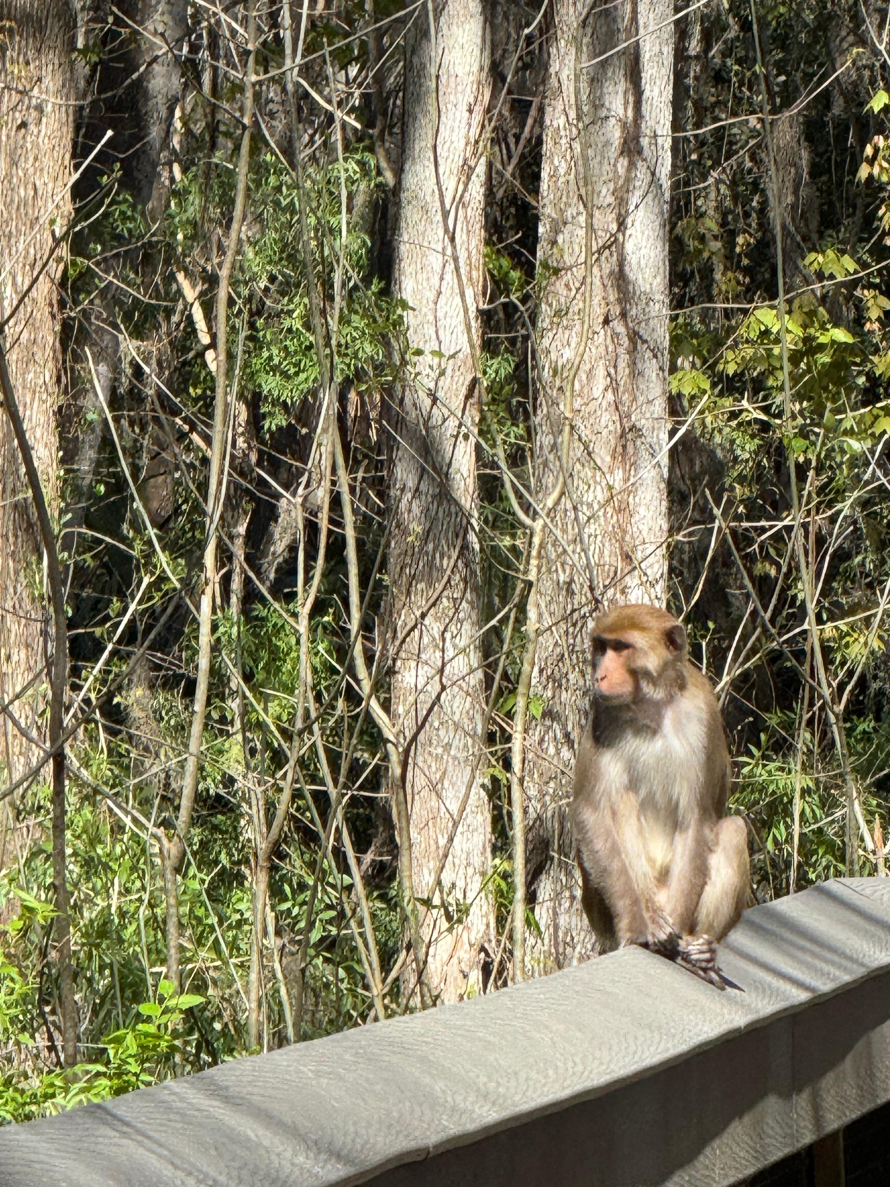 A friend while hiking at Silver Springs