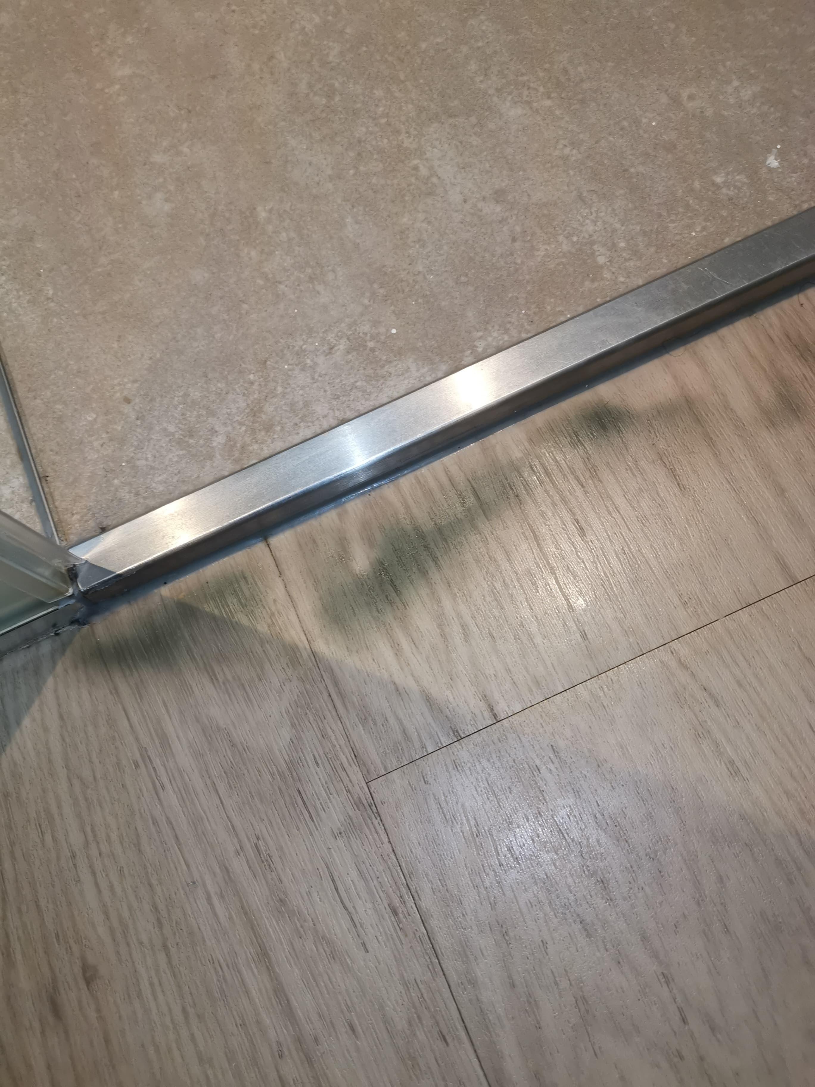 green algea or mold in front of the bathroom.