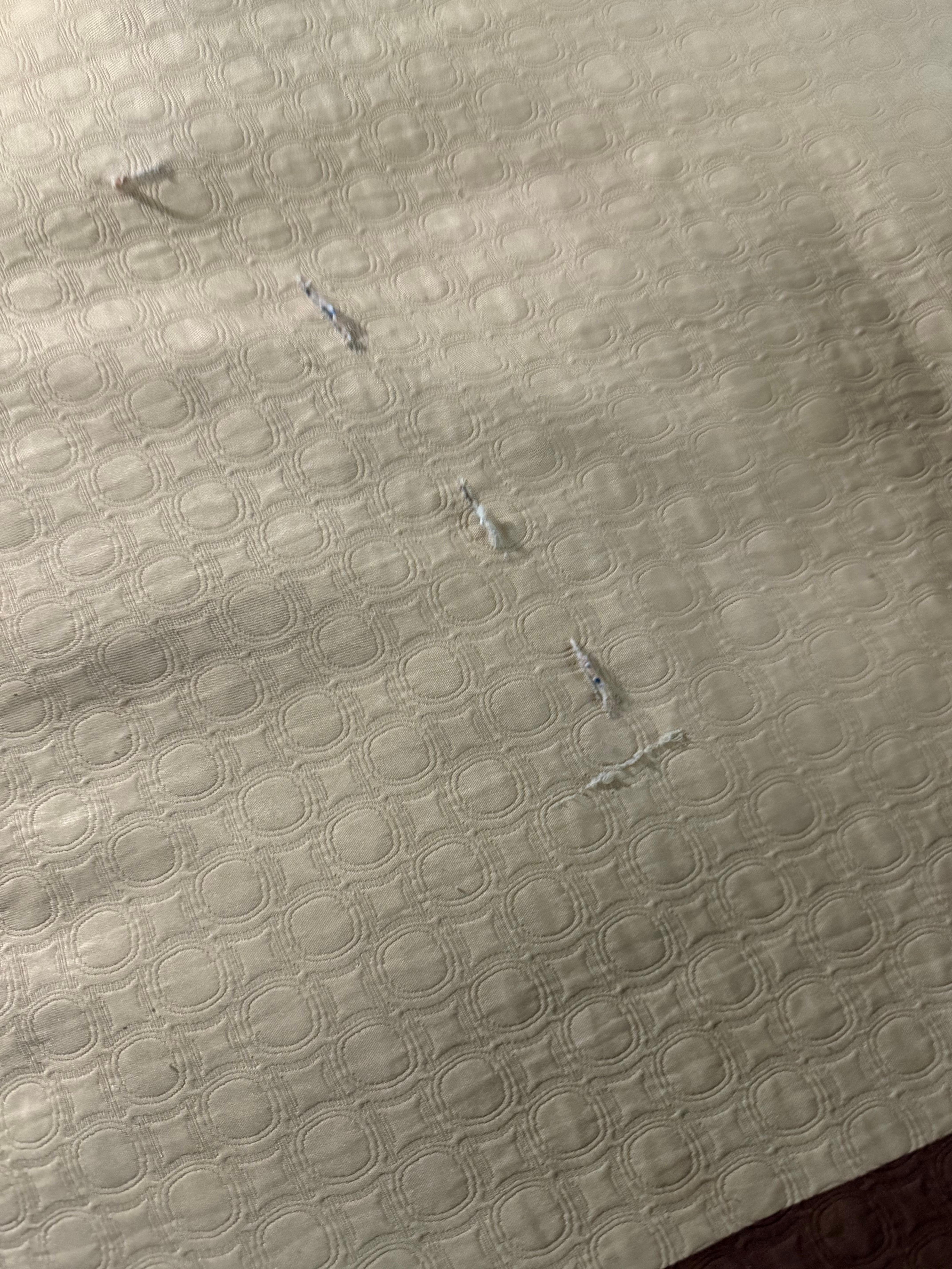 cuts in bedding 