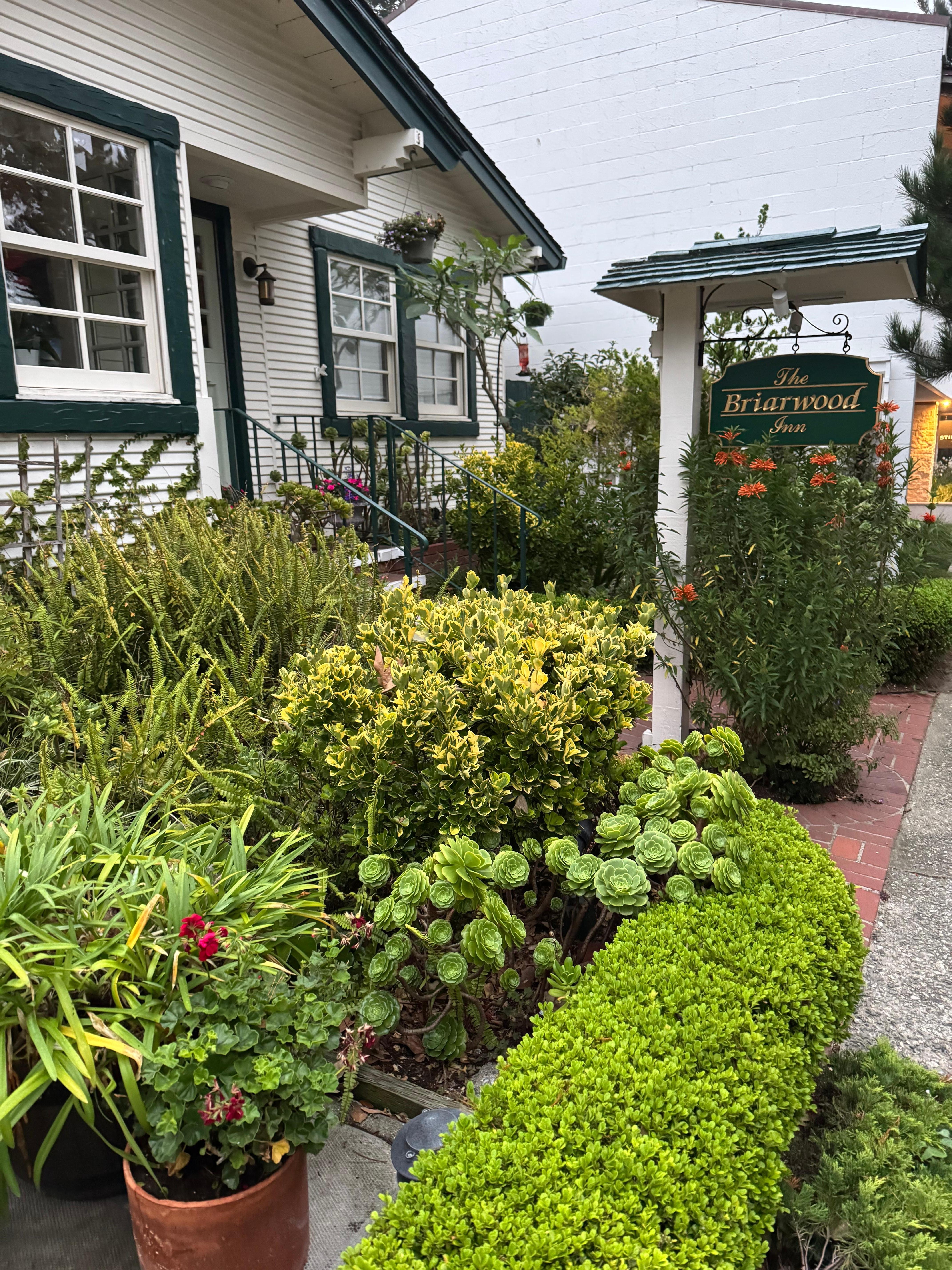 Cute shot of outside the office 