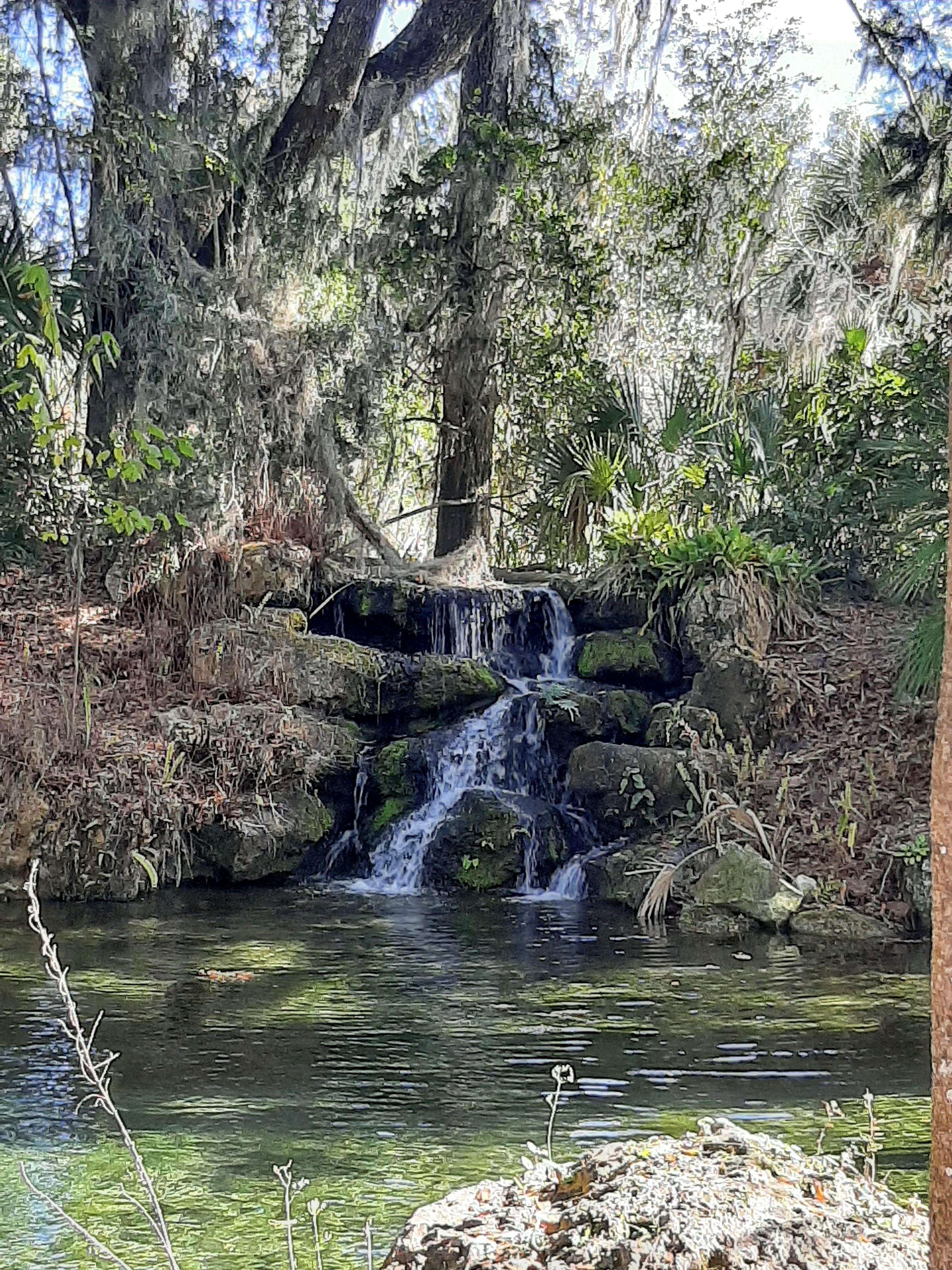 Rainbow spring state park is close by and worth going to. Entry fee is only $2 pp. 