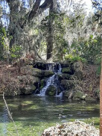 Rainbow spring state park is close by and worth going to. Entry fee is only $2 pp.