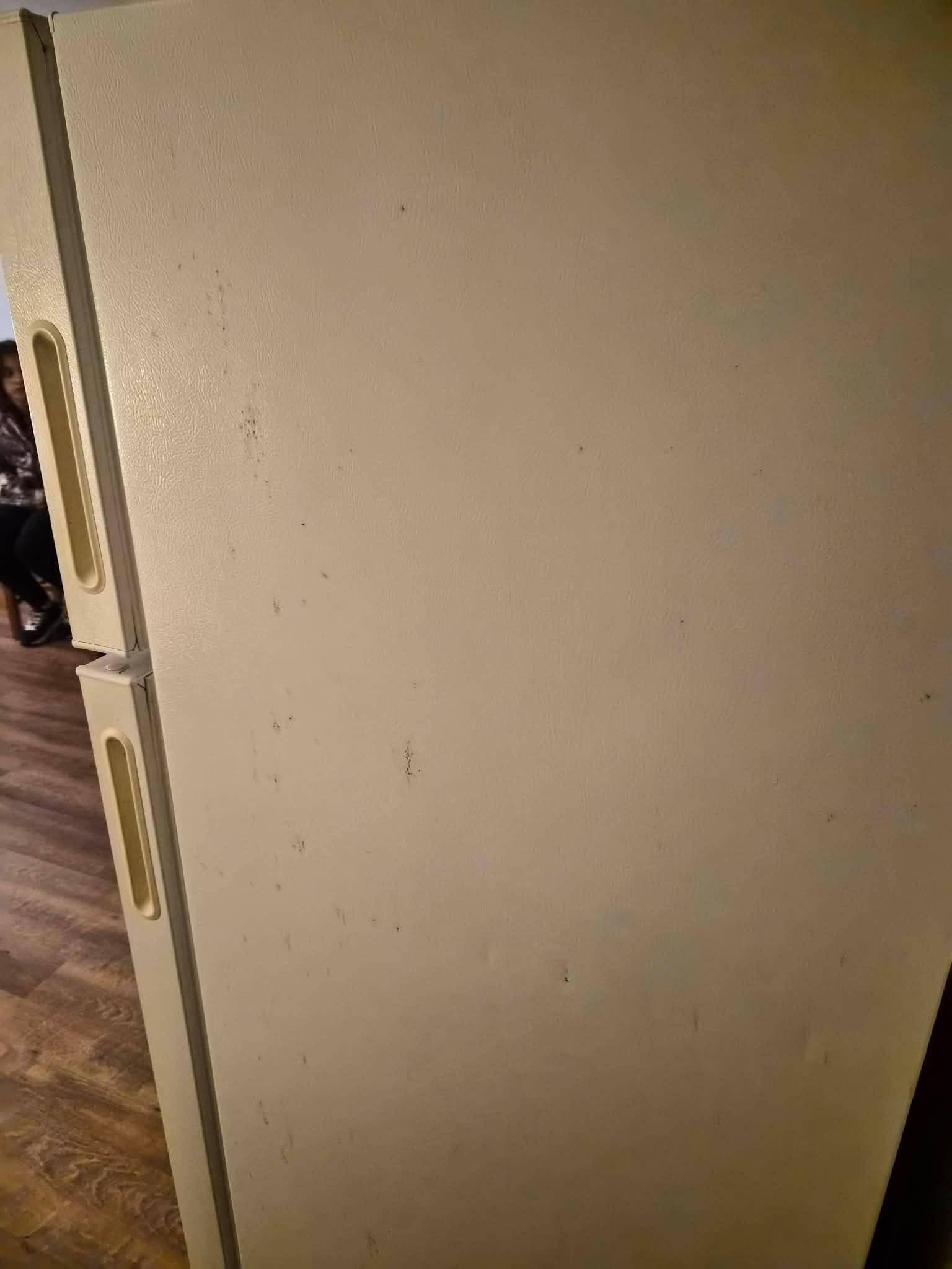 Side of refrigerator 