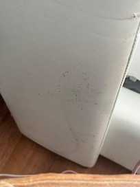 Mold on bed