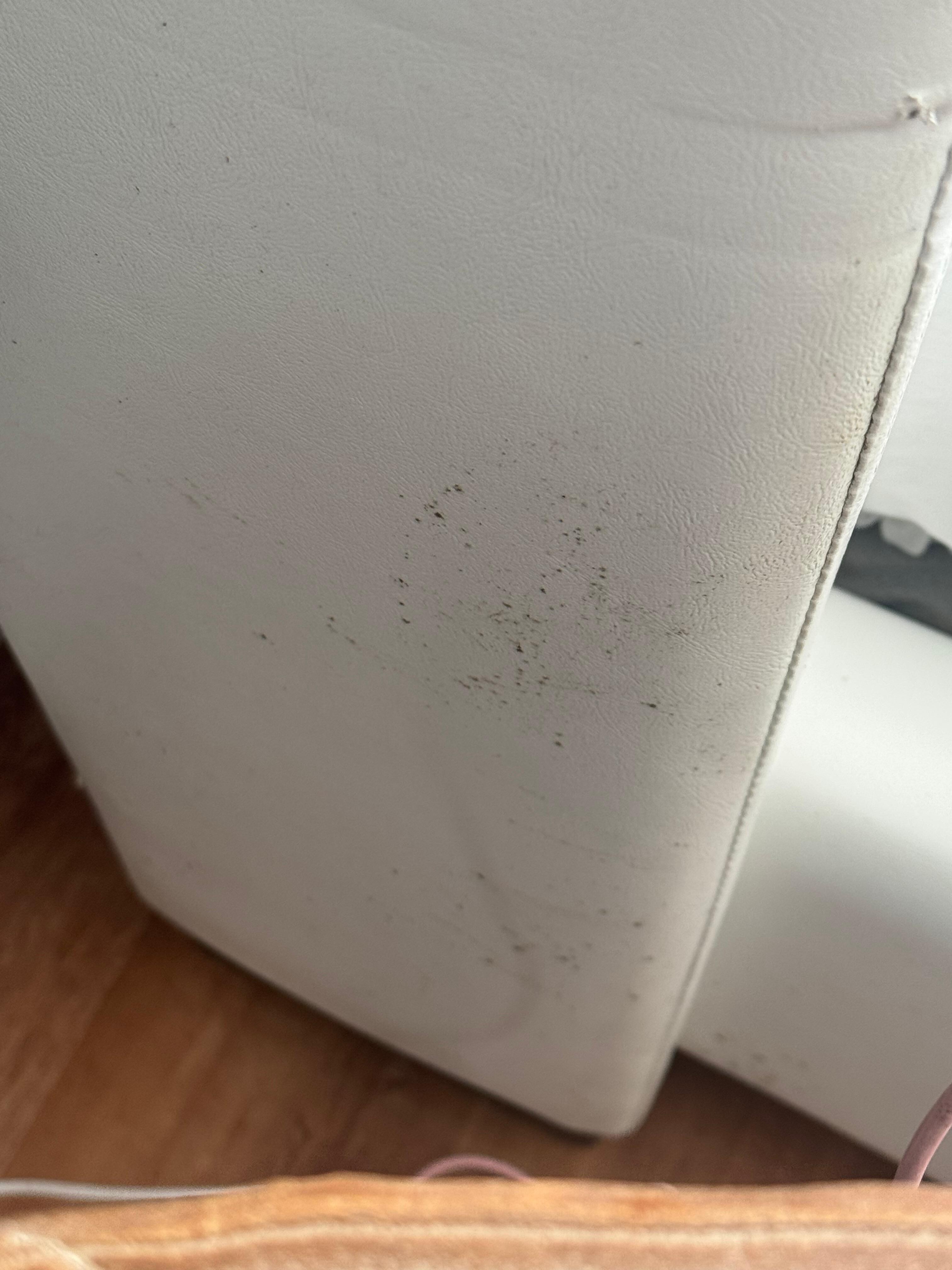 Mold on bed