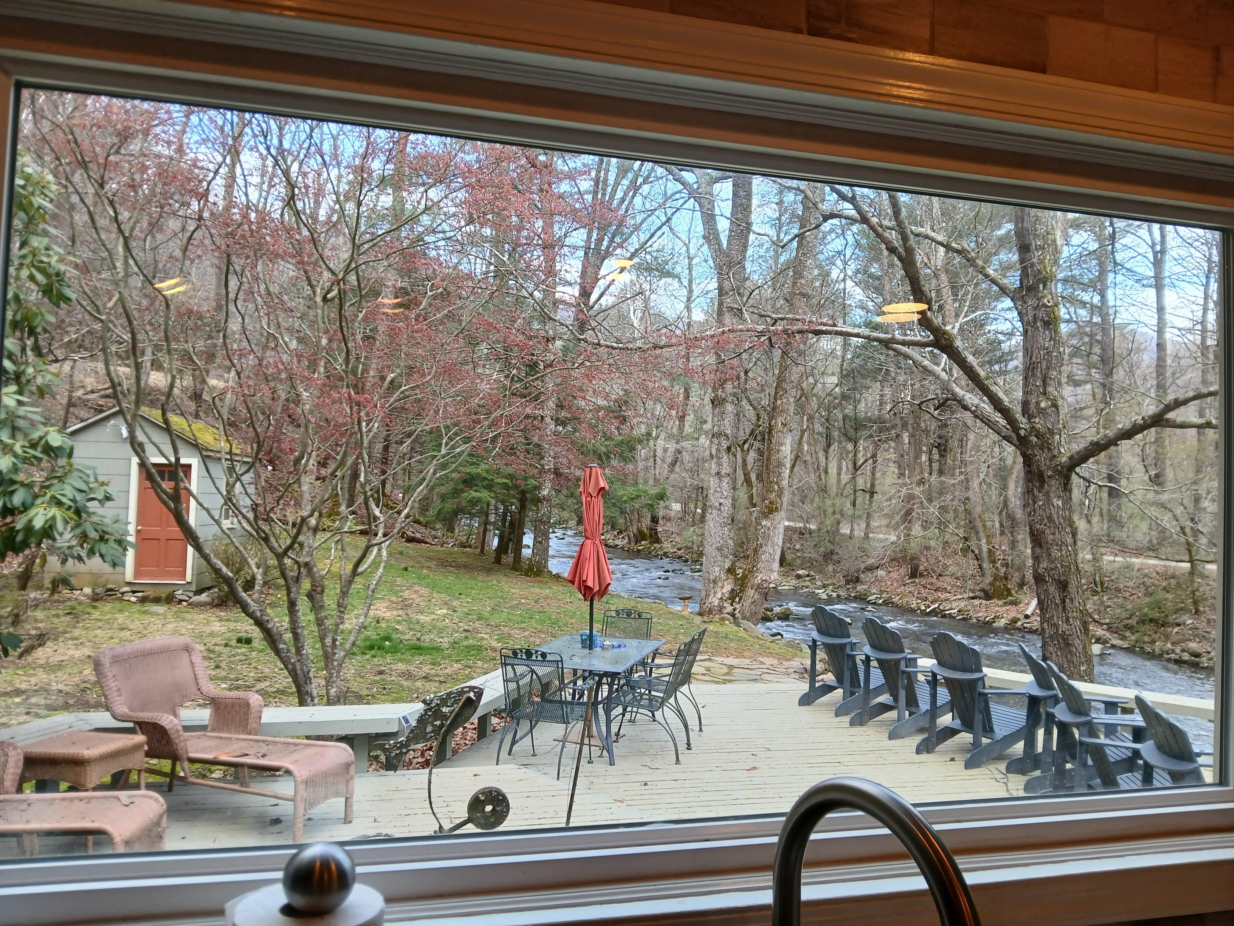 The view out the kitchen window