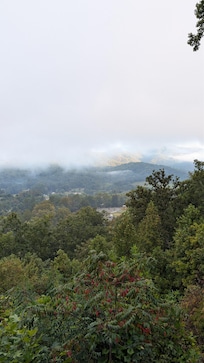View from the porch.