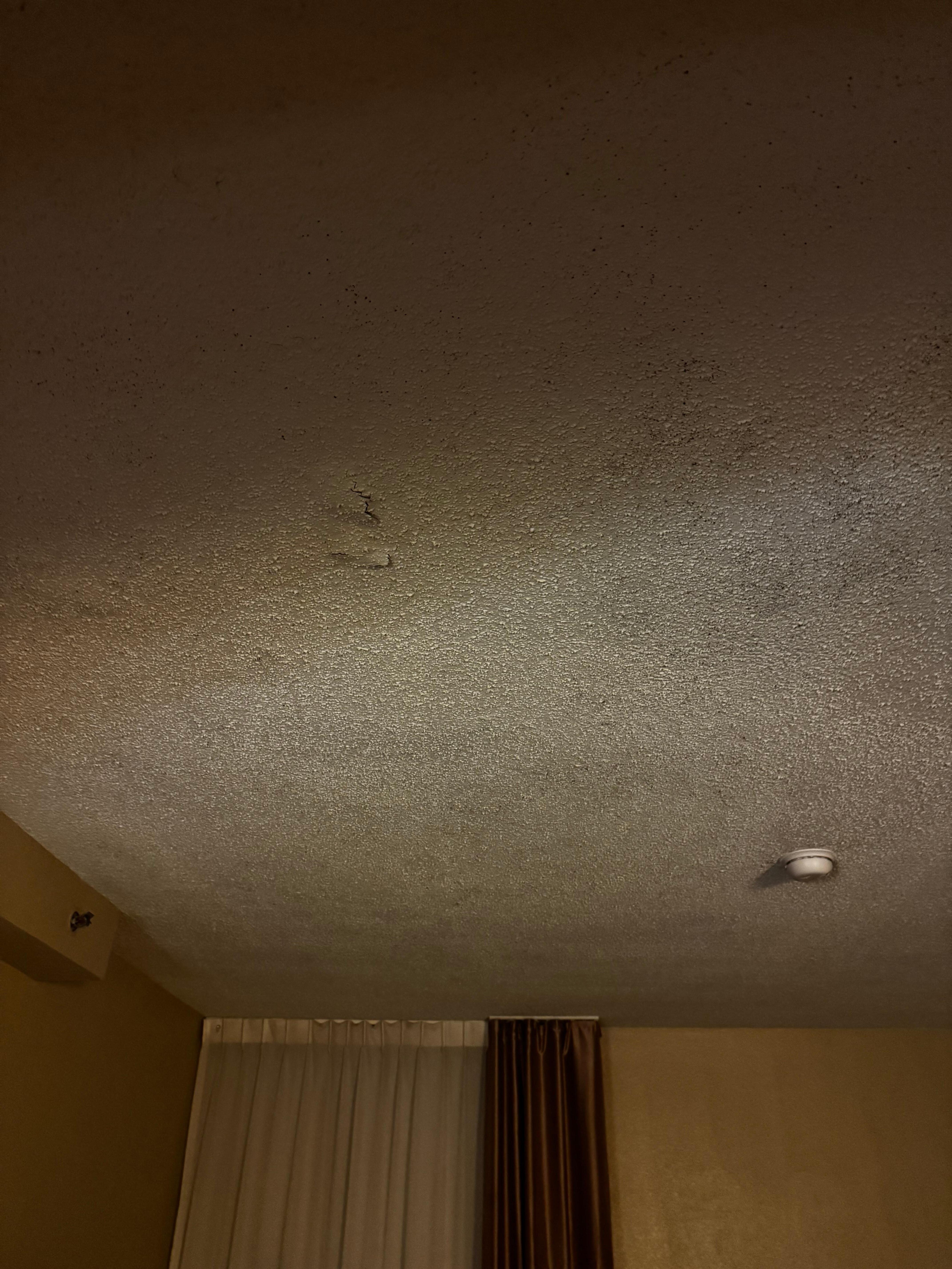 Mold and water spots
