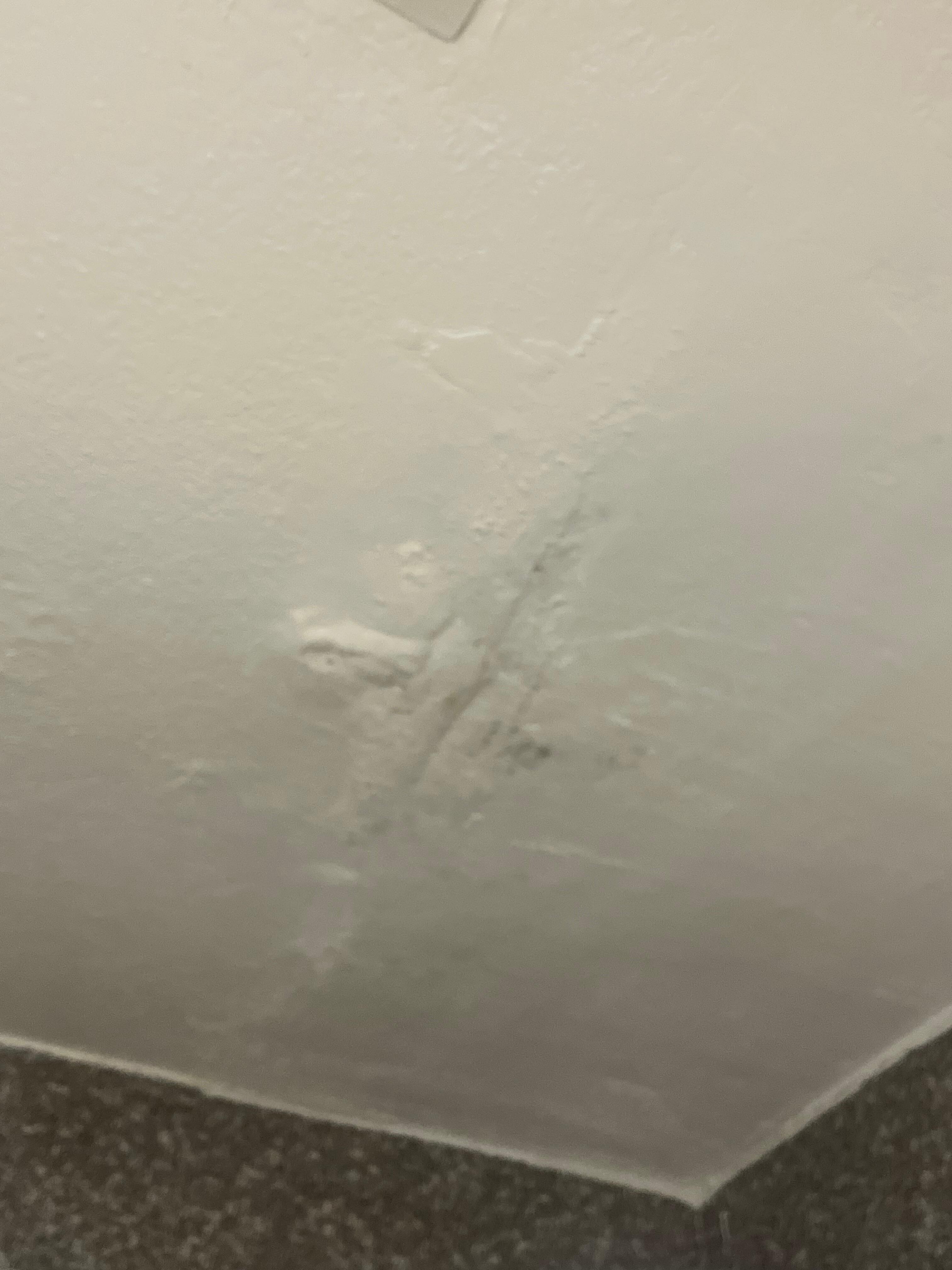 Ceiling above shower