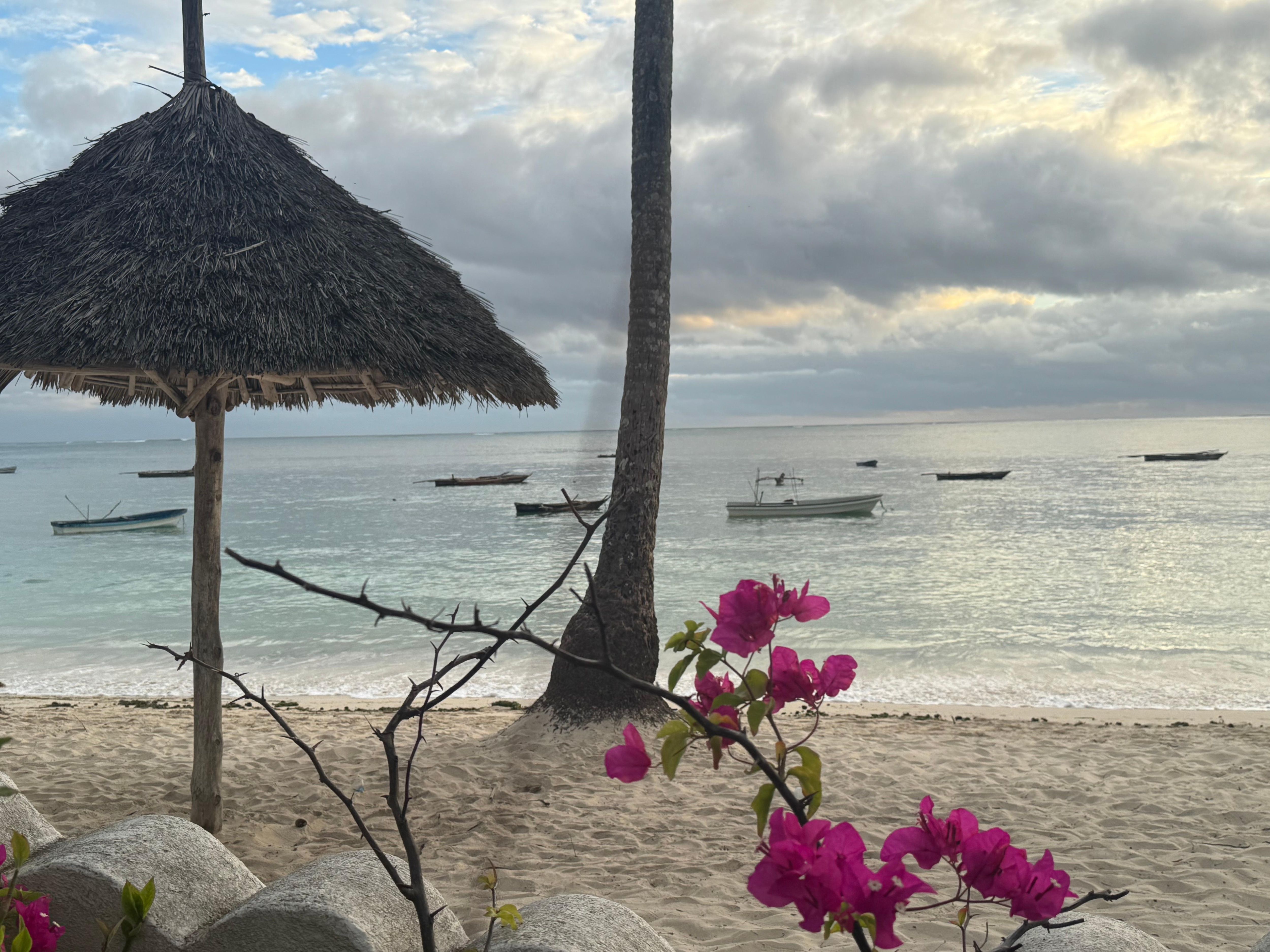 One of the picturesque views of the beach!