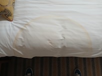 Wet bed