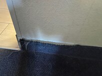 Carpet