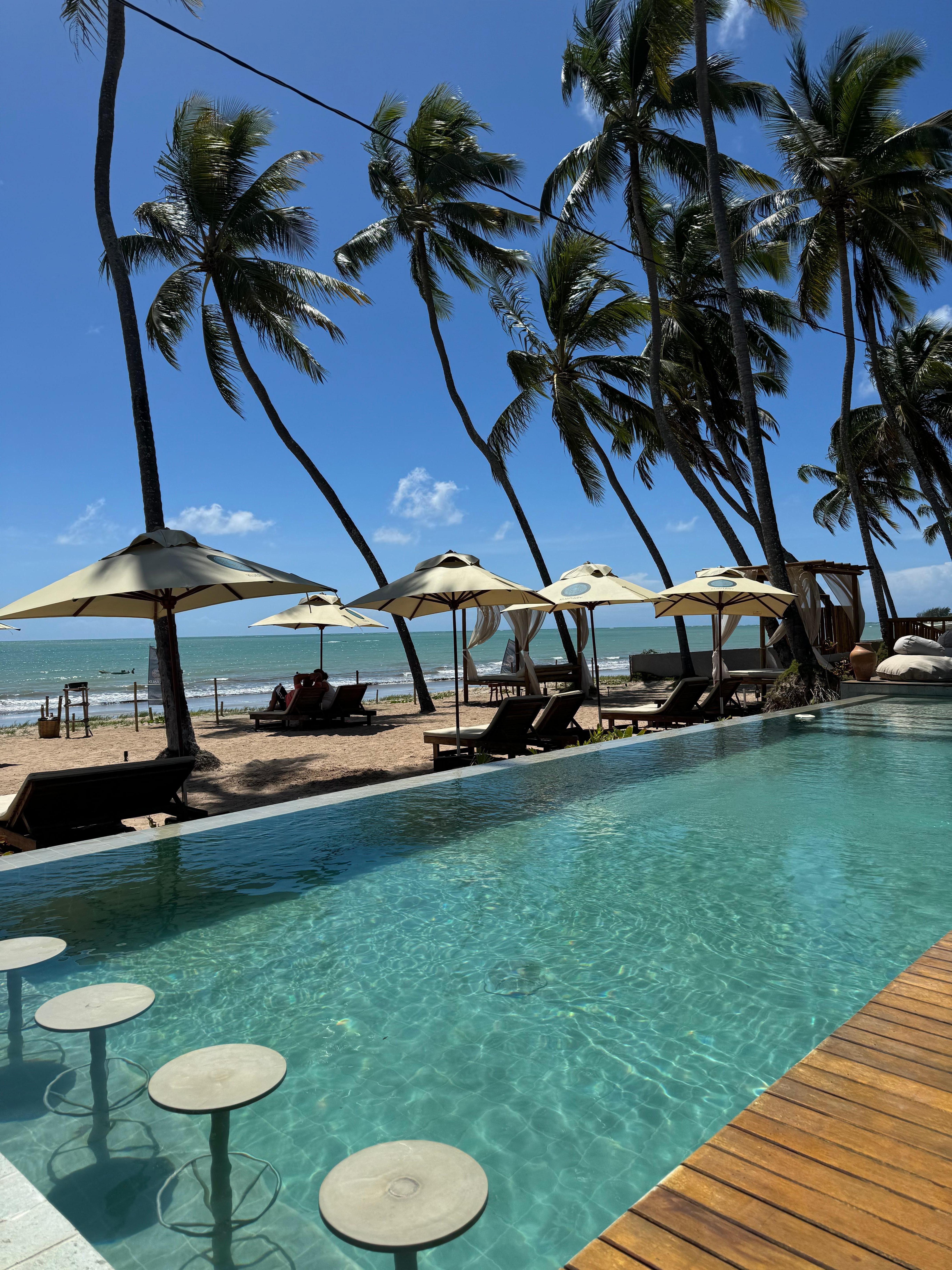 piscine et bar