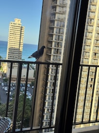 A friendly bird came by to say hi!