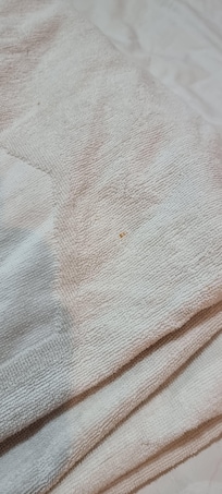 Bloody stains on the towel