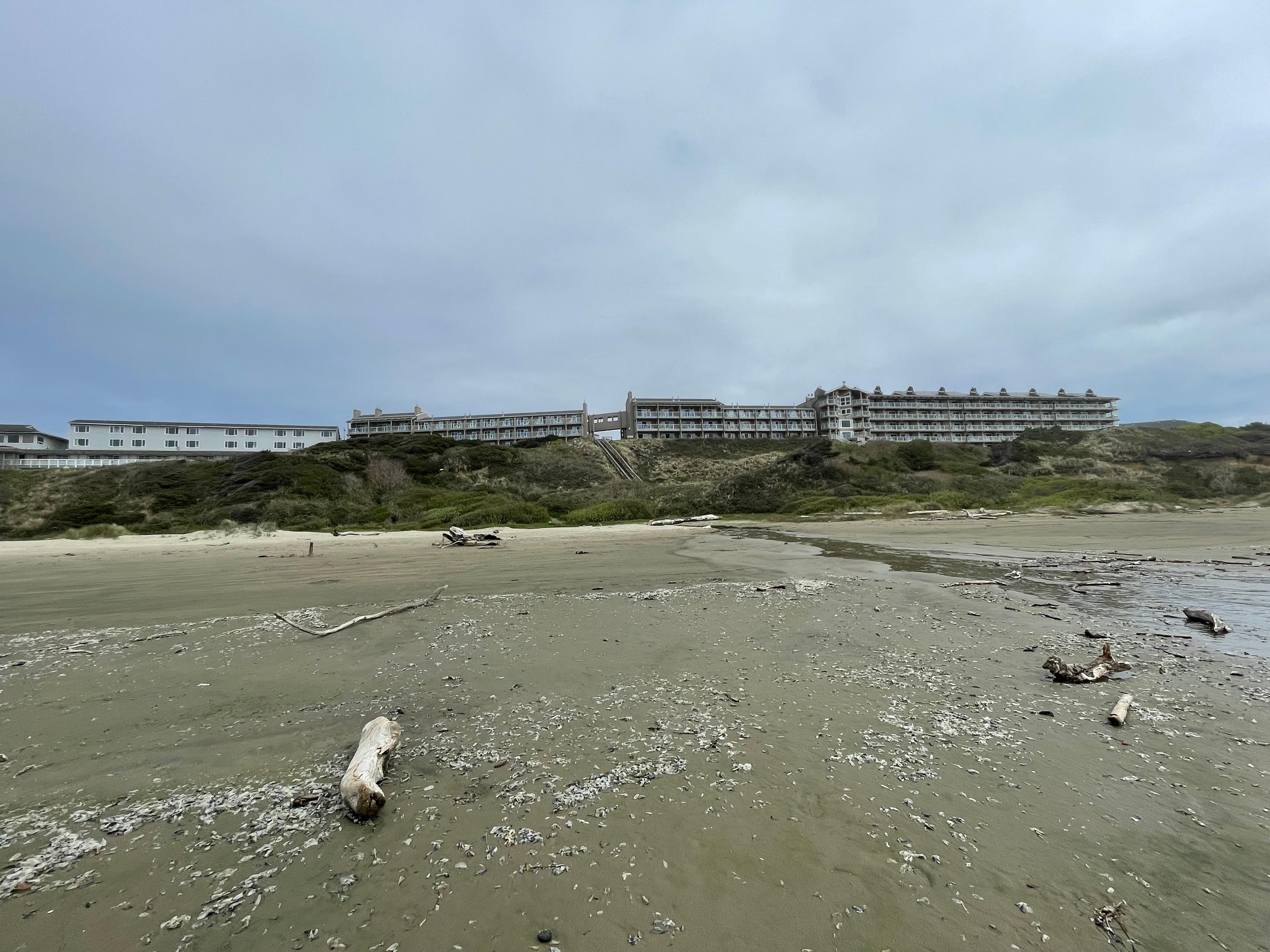 Looking back at Hallmark from the beach