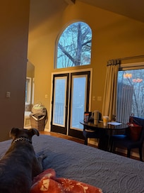 Looking out the back of the treehouse