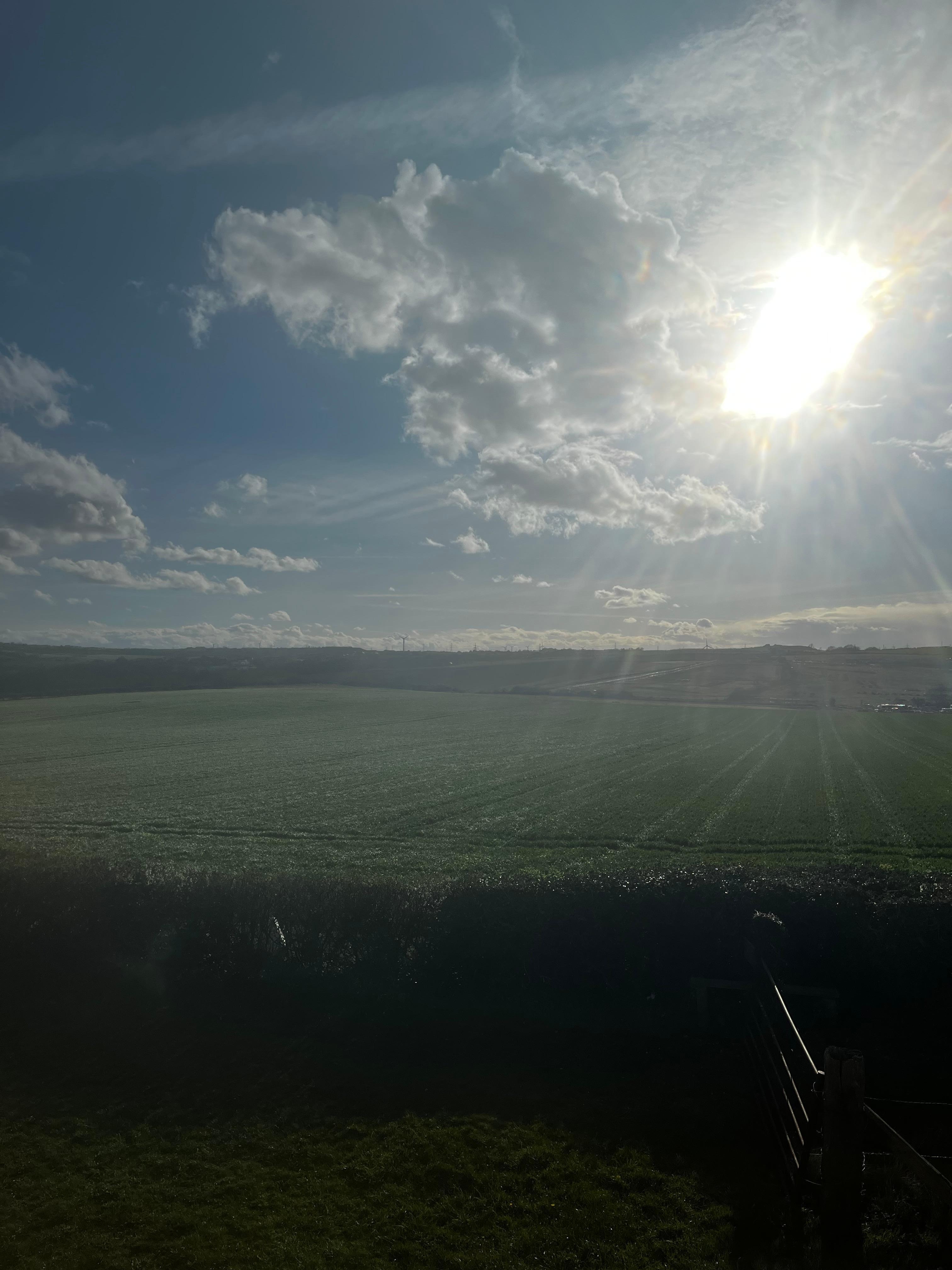 View from the property