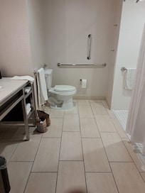 My mom liked the bench seat but the shower attachments were subpar