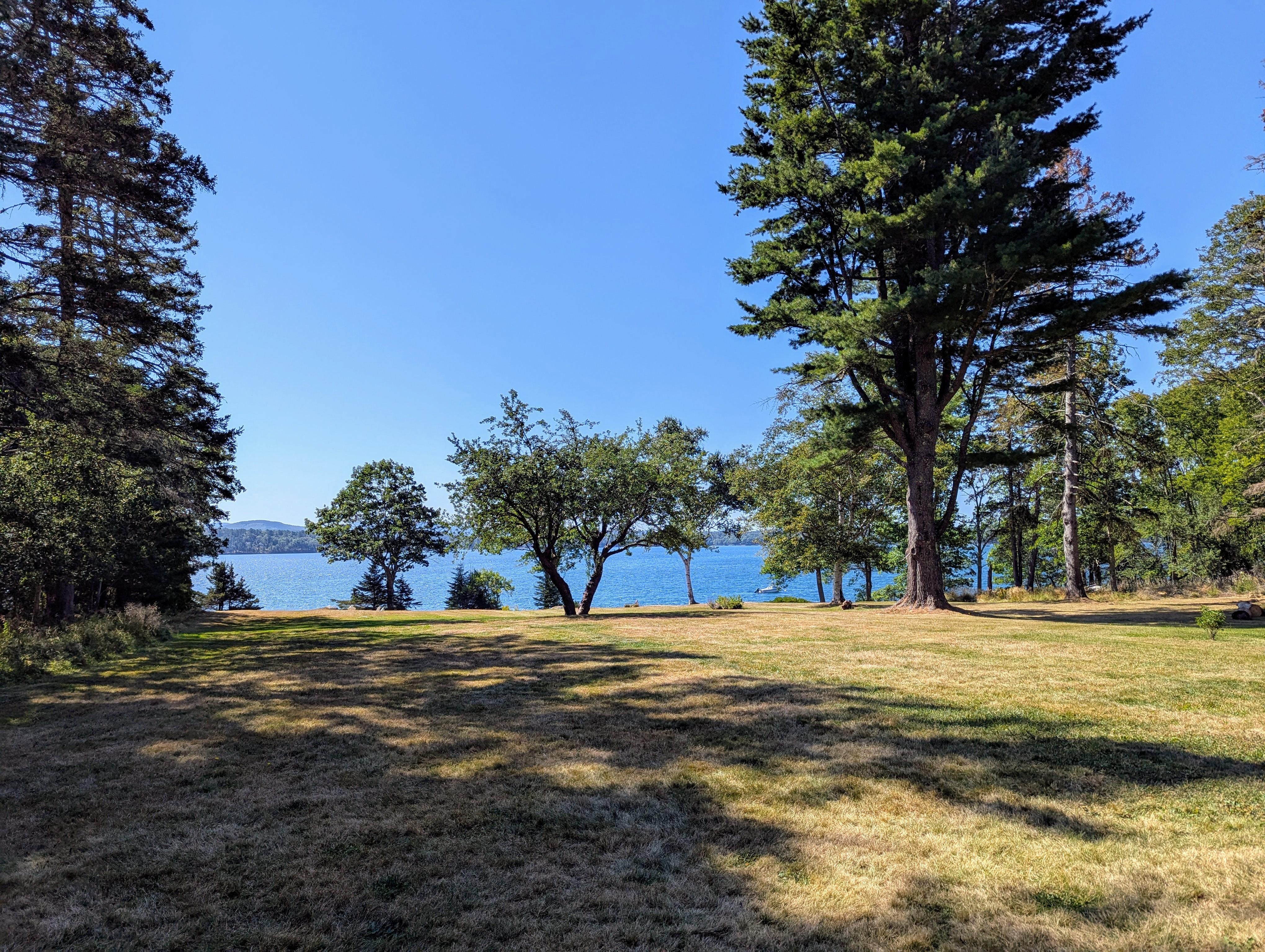 View from back porch. 