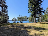 View from back porch.