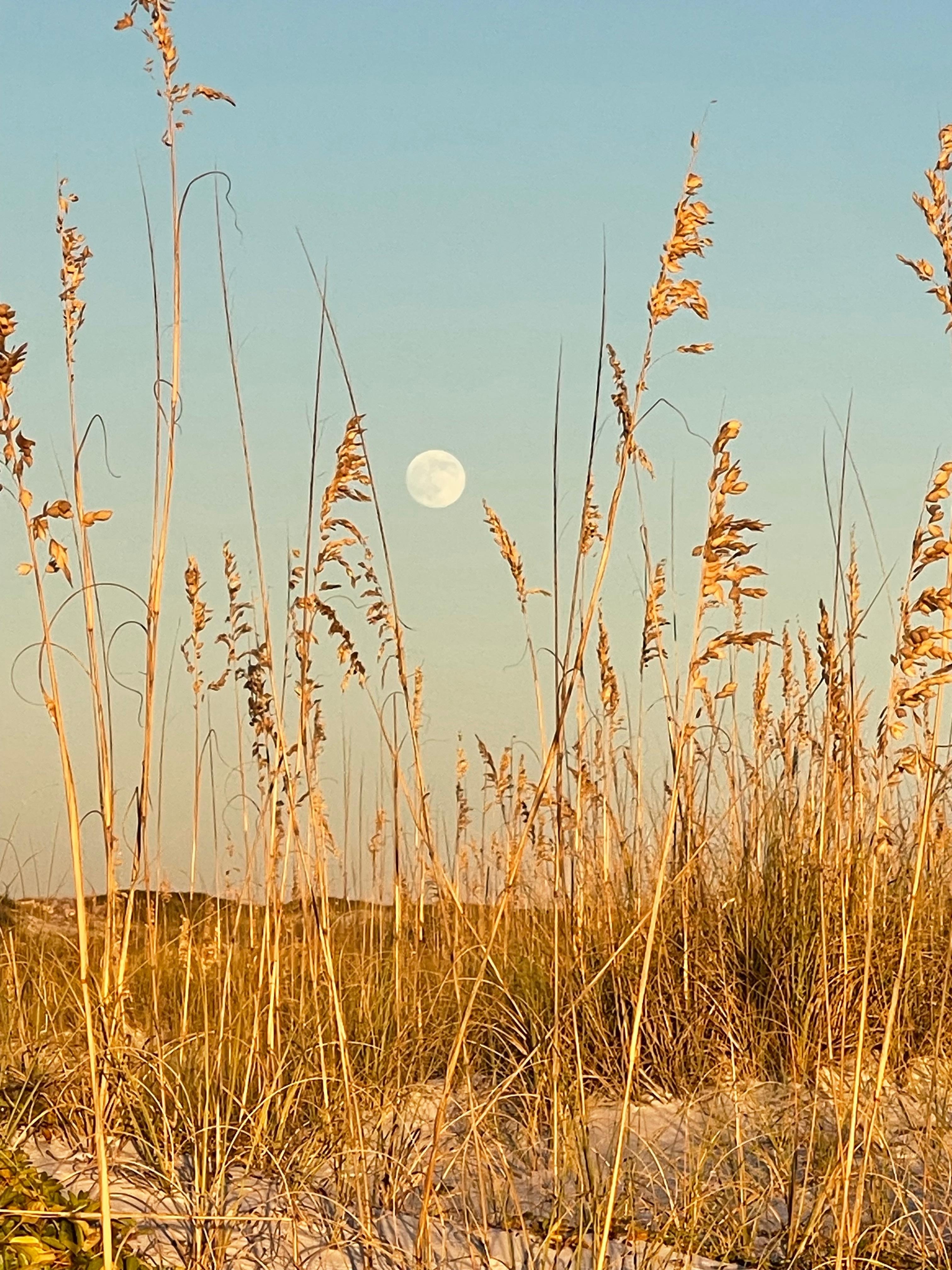 Full moon added to beauty of beach
