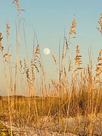 Full moon added to beauty of beach