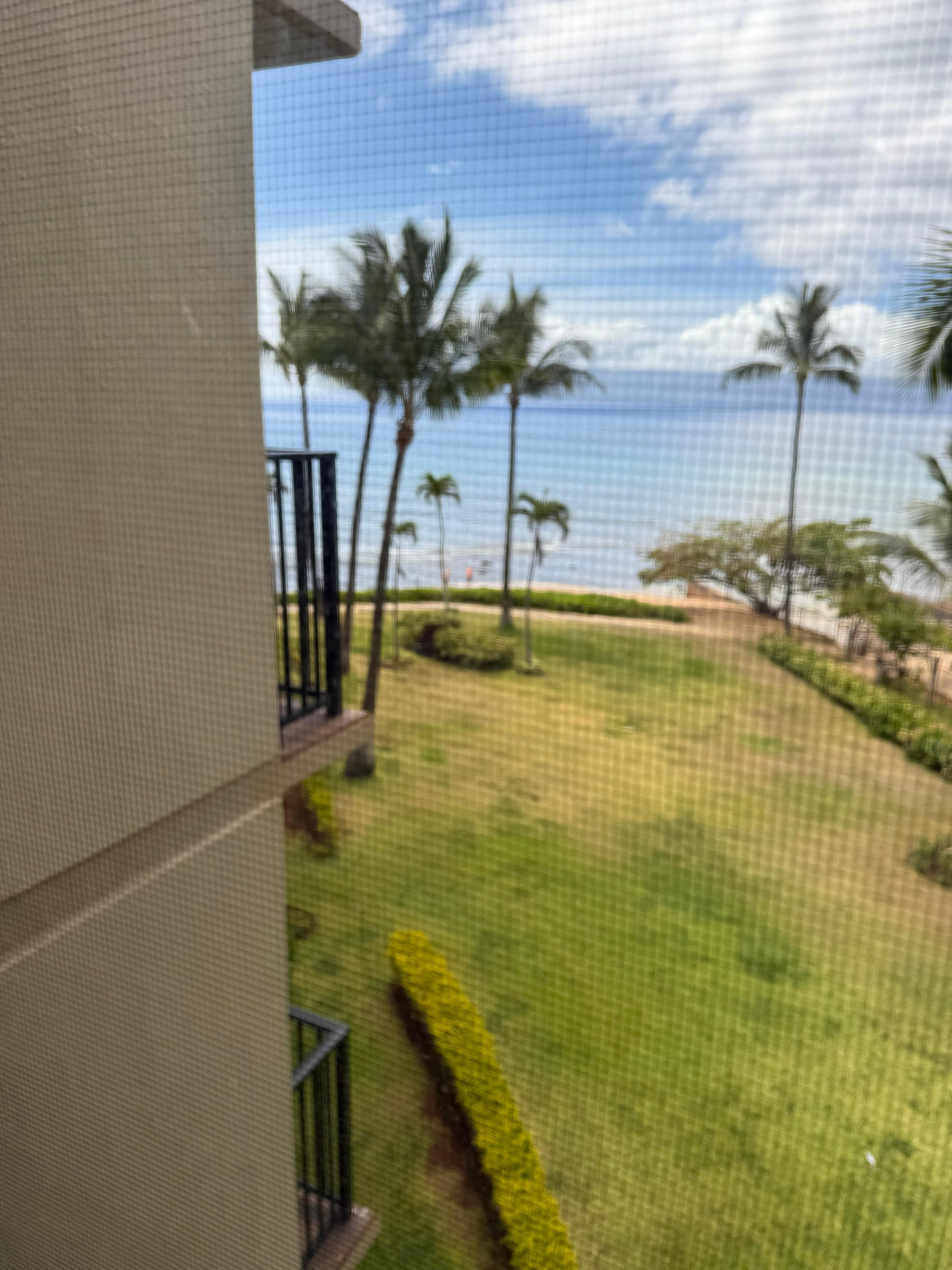 View from 4th floor elevator 