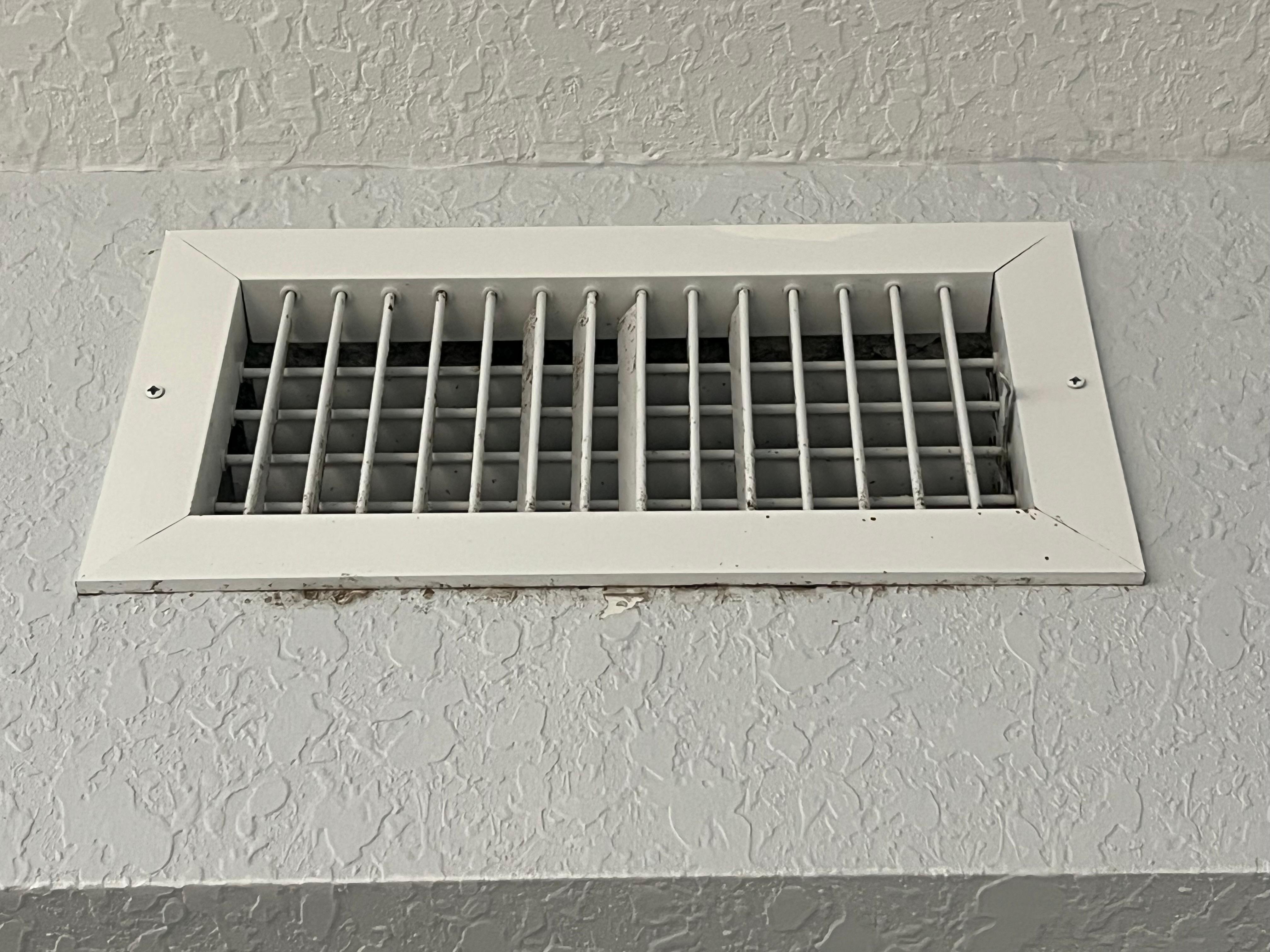 Mold spots seen on the vent and behind it