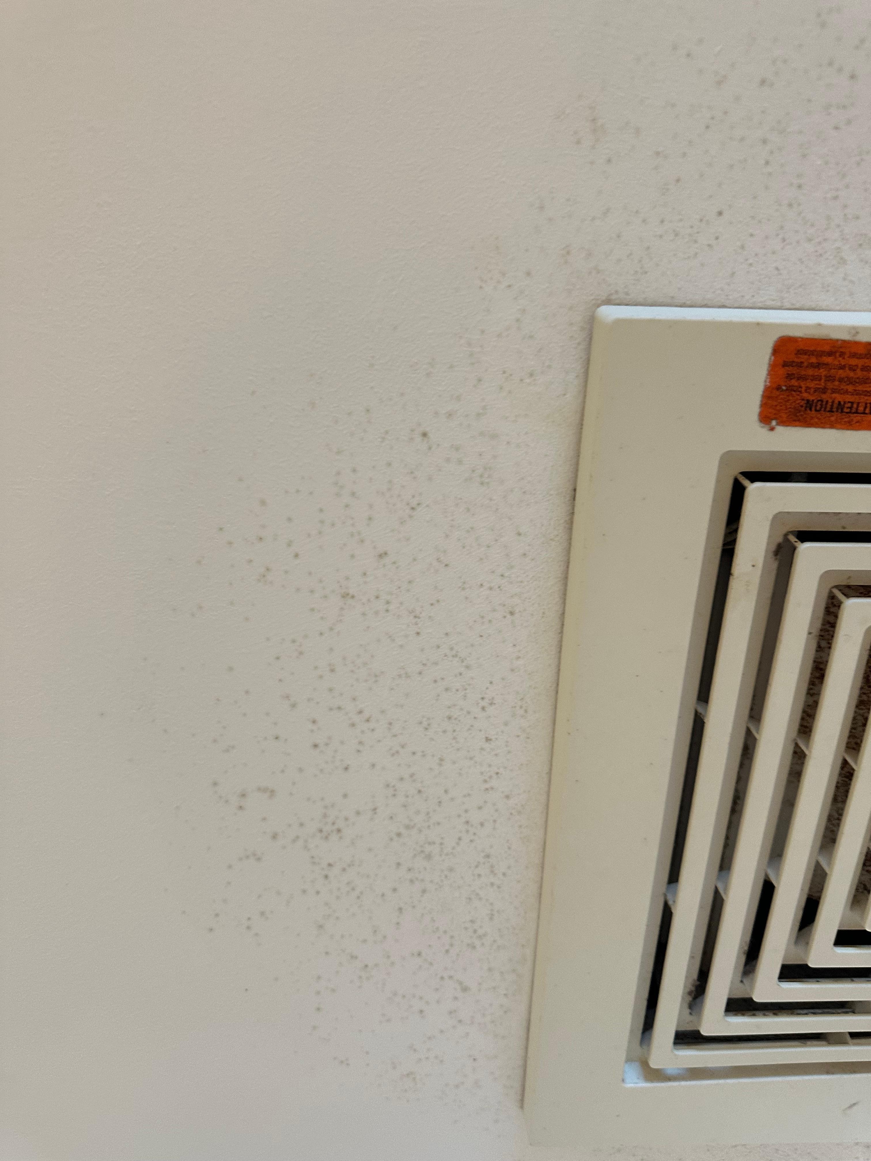 Mold near the vent
