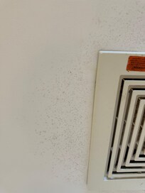 Mold near the vent