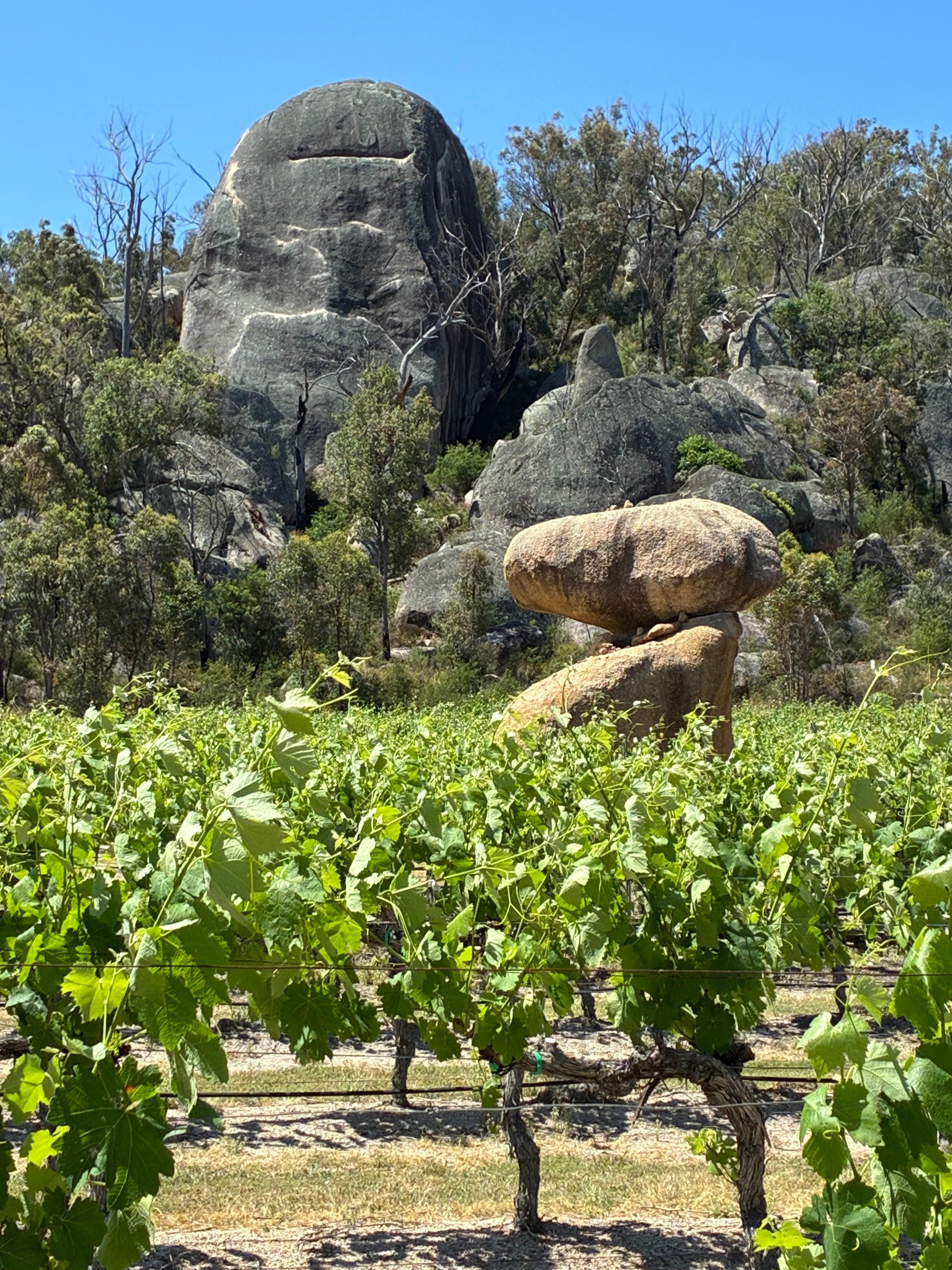 Balancing Heart Winery