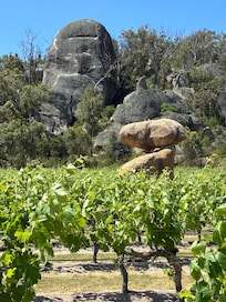 Balancing Heart Winery