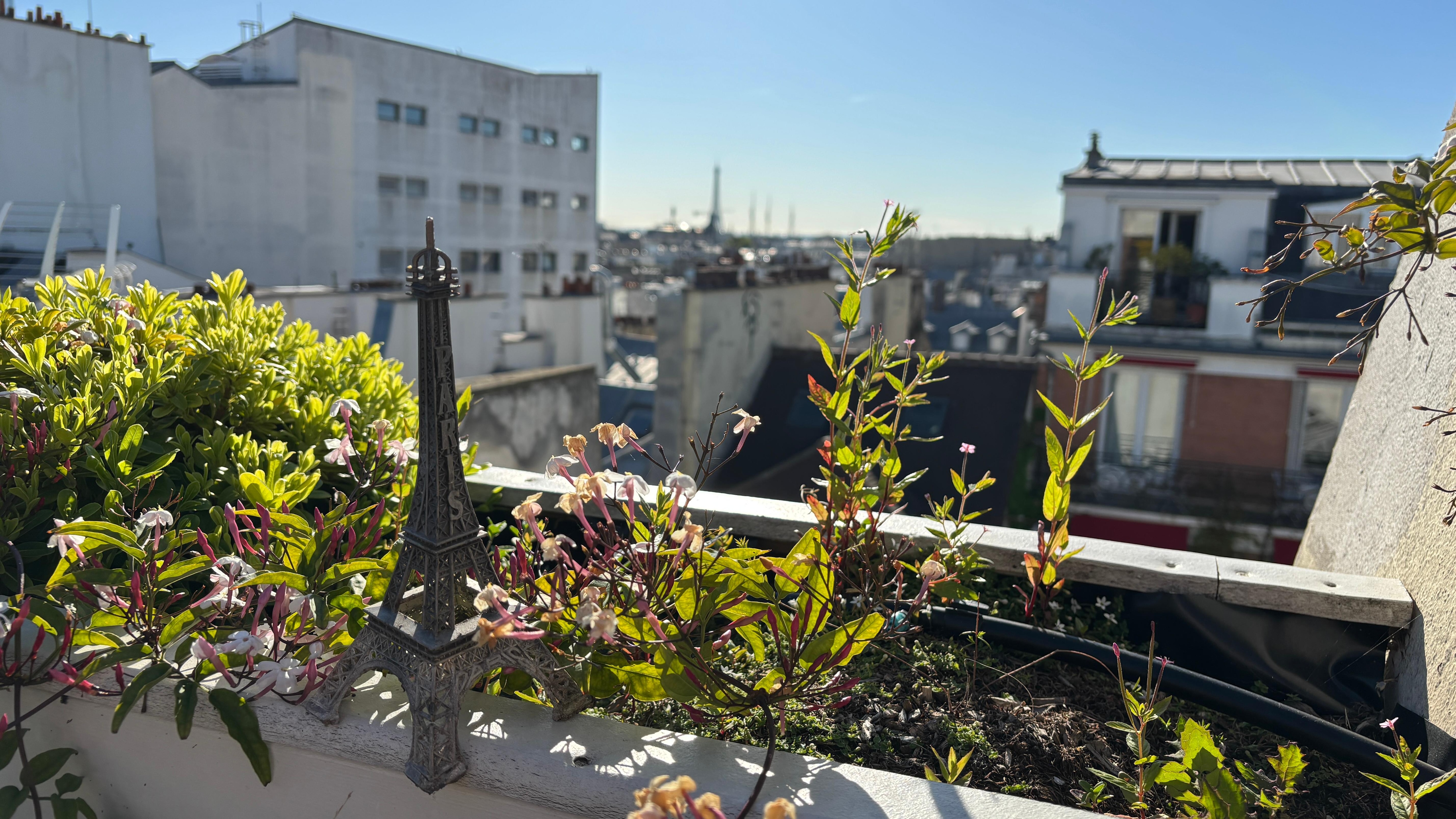 View towards Eiffel Tower from roof terrace