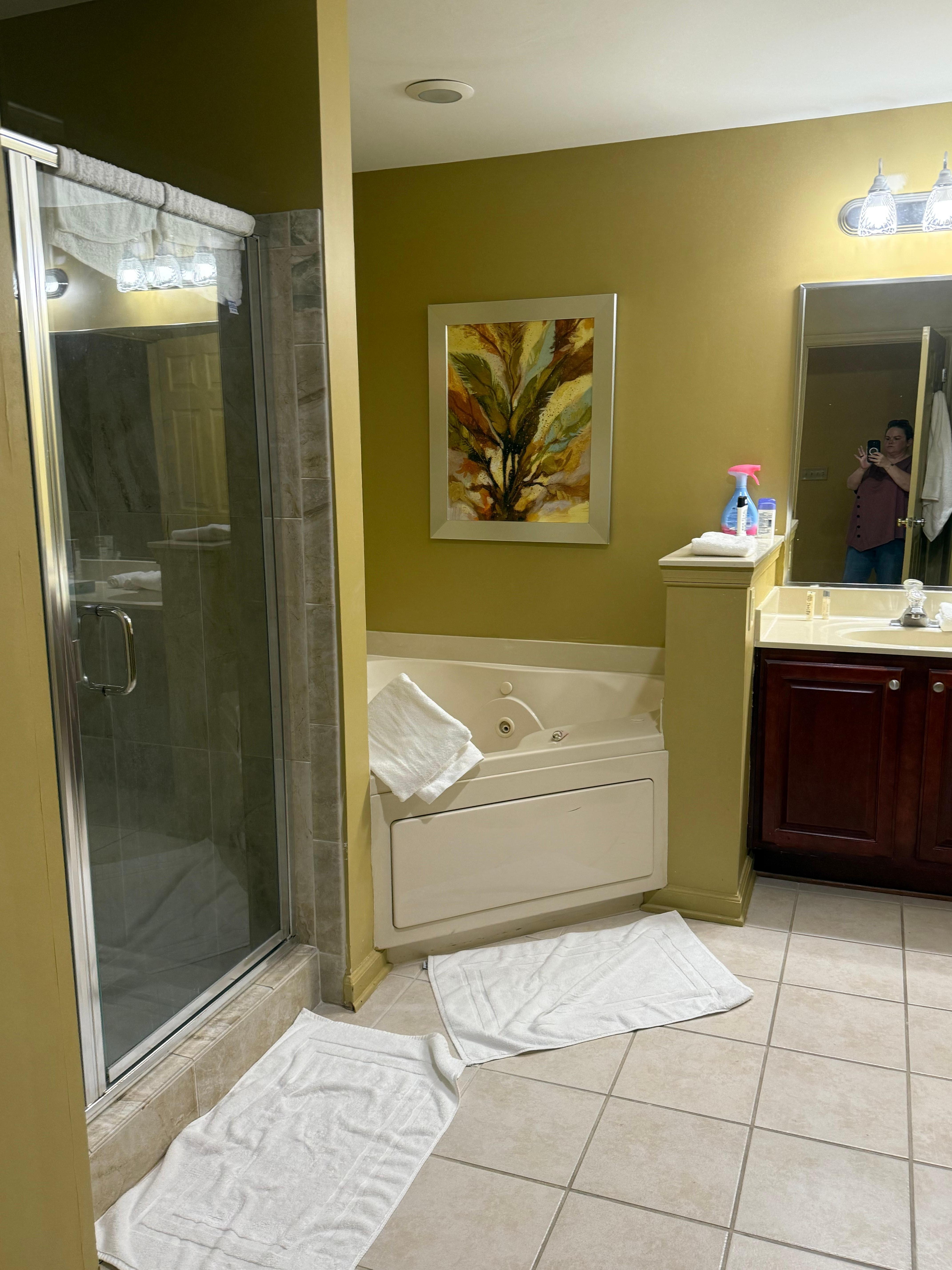 Bathroom - pic of Jacuzzi
