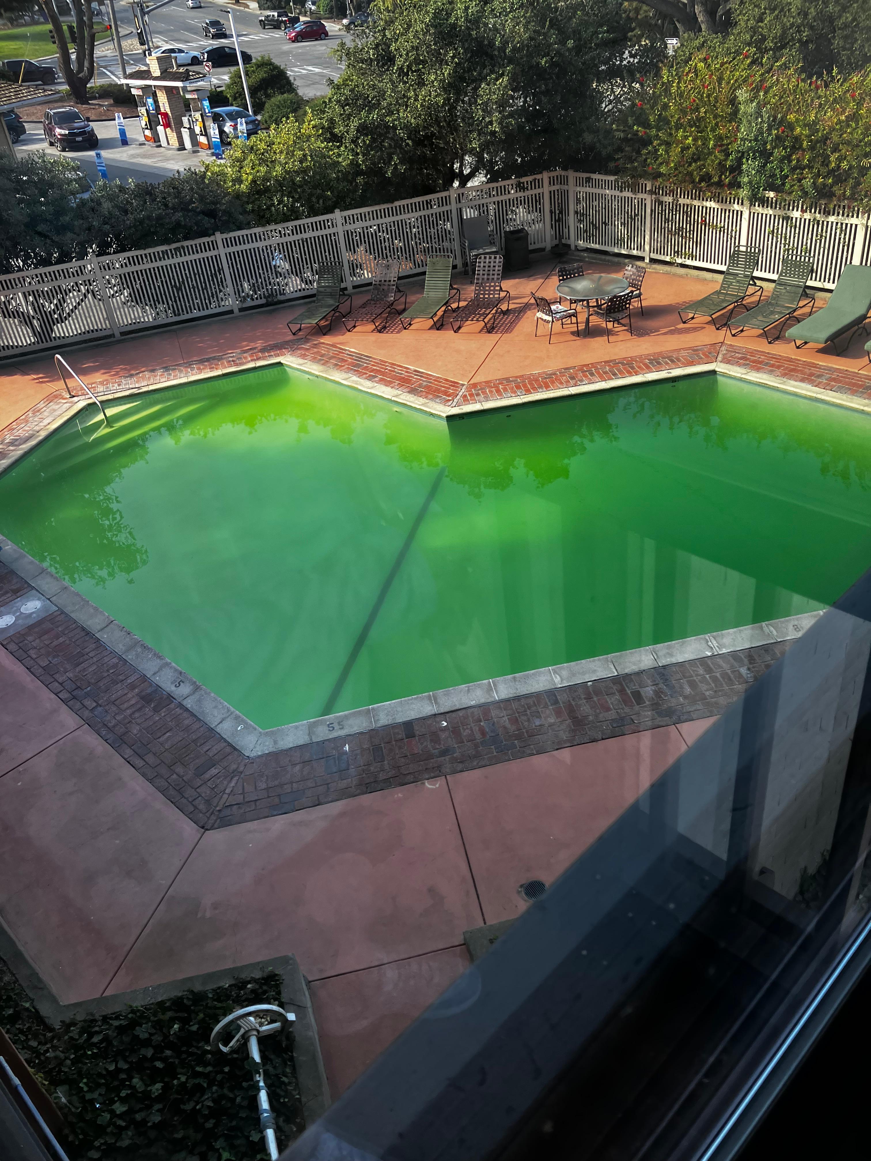 Swimming pool with green algae.