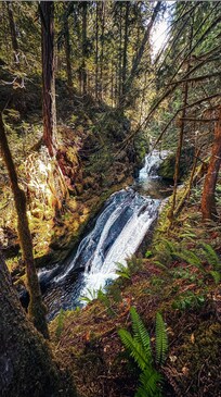 Waterfall hike in the neighborhood