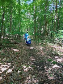 Path through the woods to the lake.